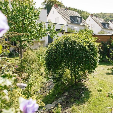 Ferienwohnung Am Breyer Talbach Kültér fotó