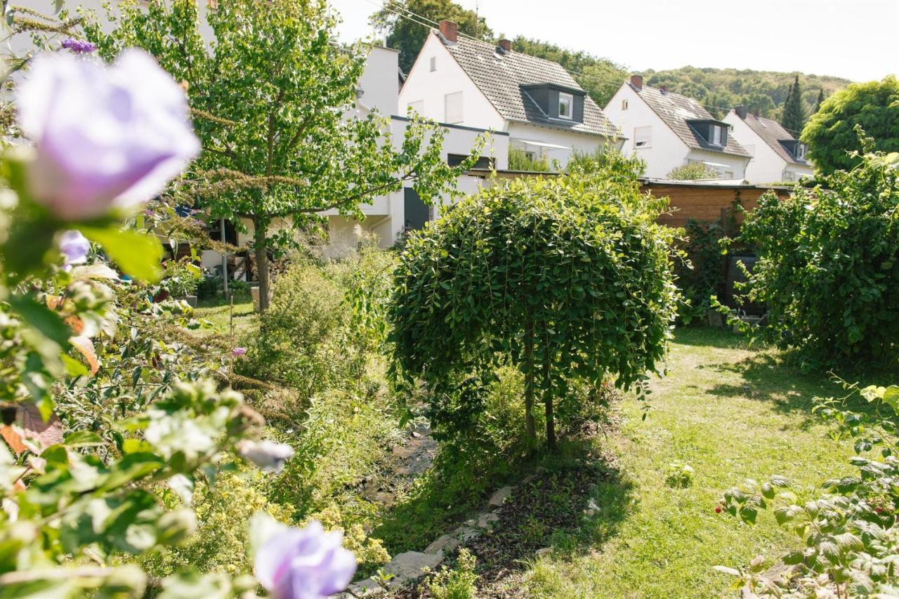 Ferienwohnung Am Breyer Talbach Kültér fotó